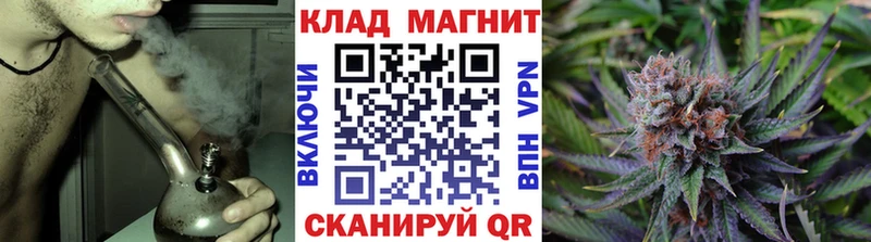 Псилоцибиновые грибы Нефтегорск