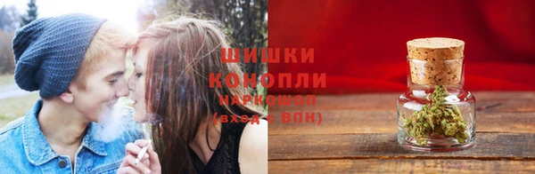 сатива Кукмор
