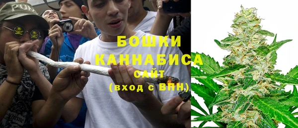 PSILOCYBIN Лагань