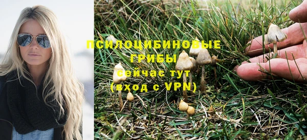 PSILOCYBIN Куйбышев