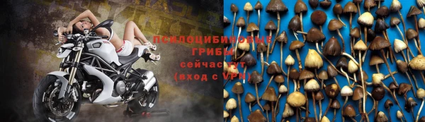 PSILOCYBIN Лагань
